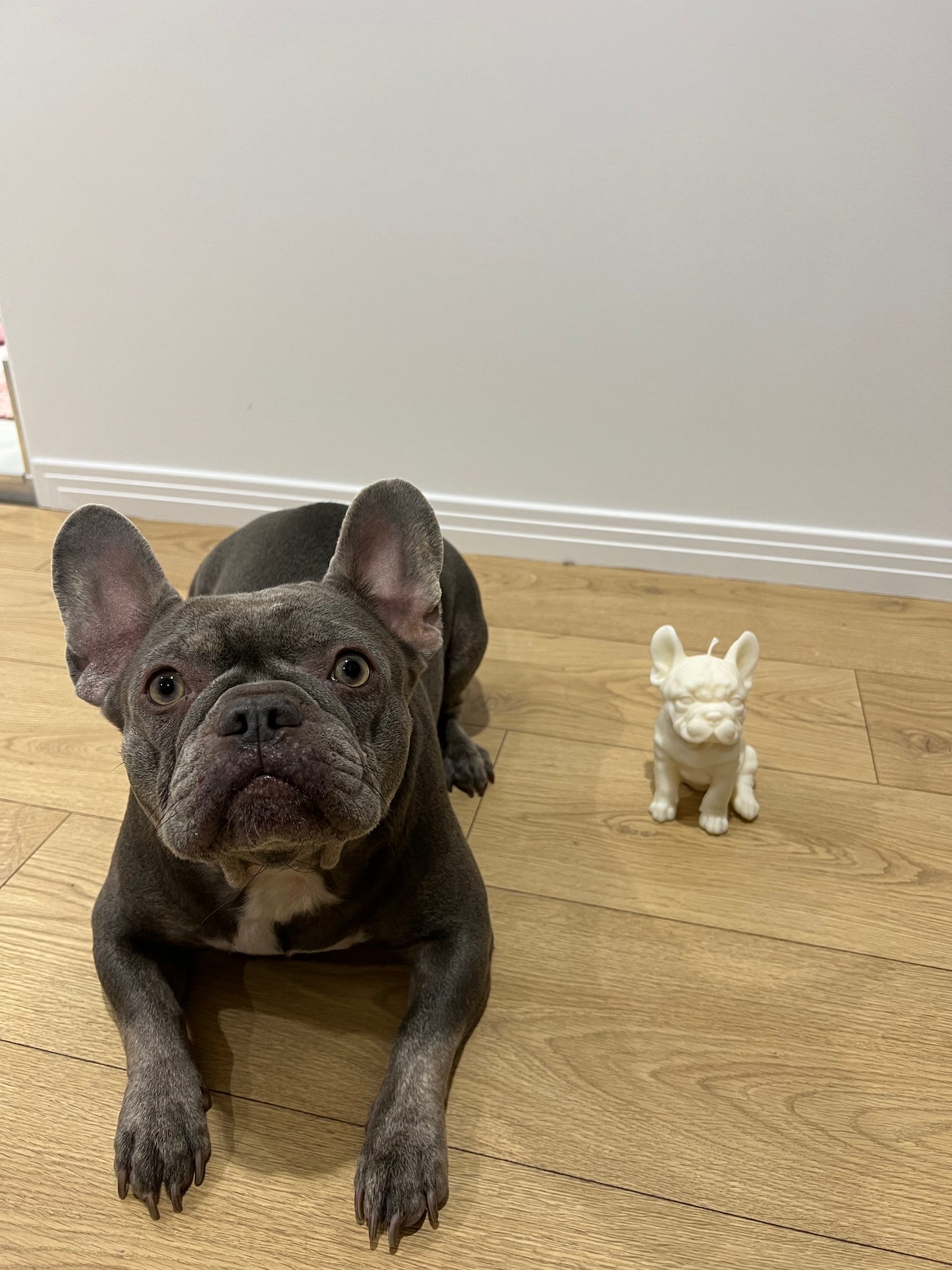 Vegan Soy wax French Bulldog puppy candle