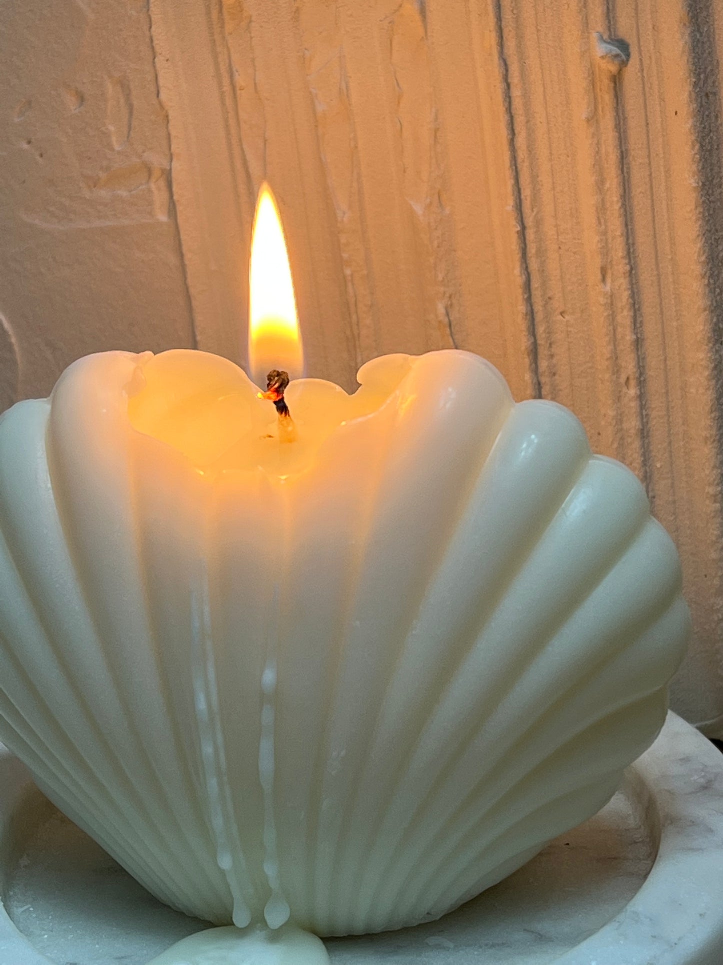 Classiicollection's handcrafted shell, front picture